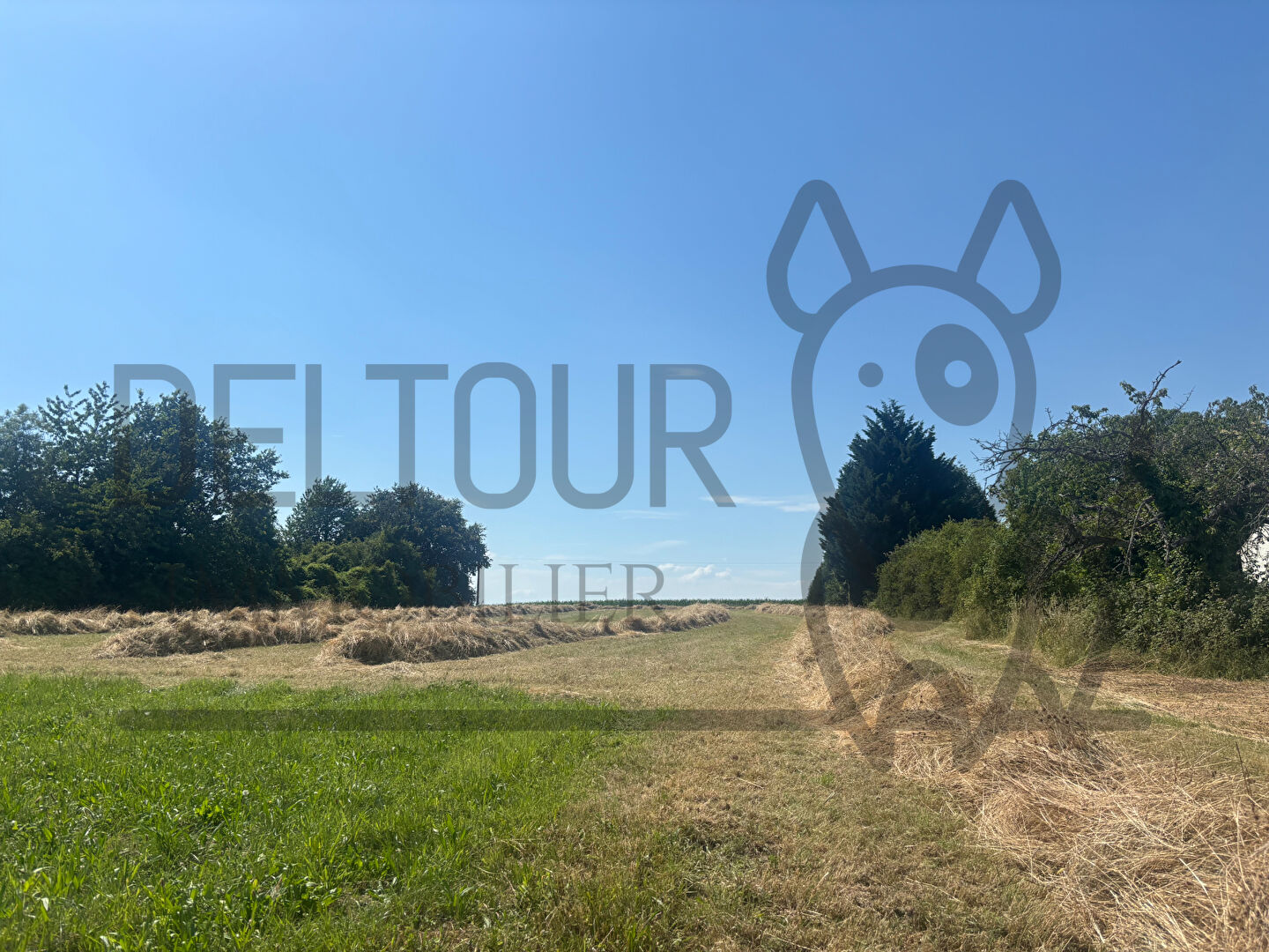 terrain crecy 1500 m2 · à Crécy-la-Chapelle · 159 000 €